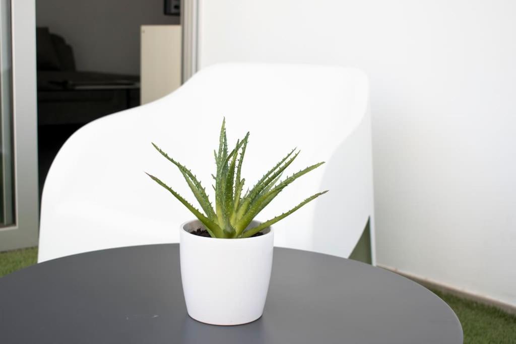 Glabur Stays - The Amazing 1 Bdr - Executive Apt Nicosia Center Free Parking & Wifi Экстерьер фото